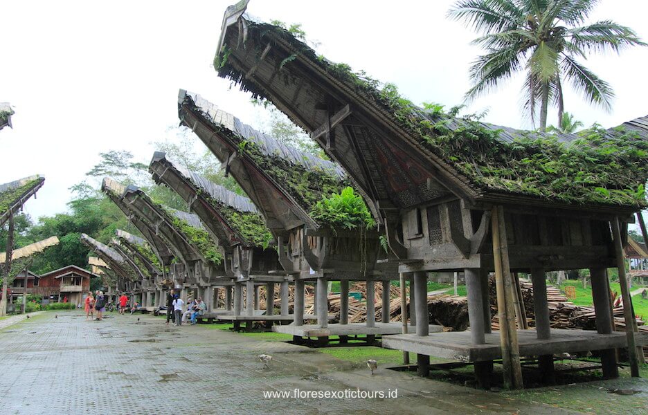 Toraja-tours-1-1