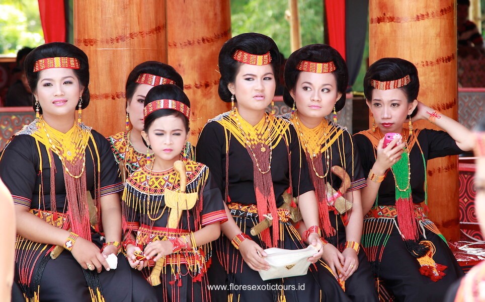 Toraja-tours